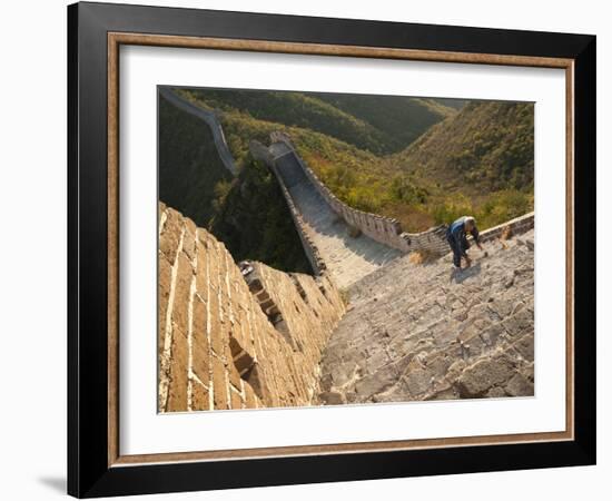 Chinese Man Climbs Great Wall of China, UNESCO World Heritage Site, Huanghuacheng (Yellow Flower) a-Kimberly Walker-Framed Photographic Print