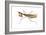 Chinese Mantis (Tenodera Sinensis), Insects-Encyclopaedia Britannica-Framed Art Print