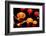 Chinese New Year Festival-bunyarit-Framed Photographic Print