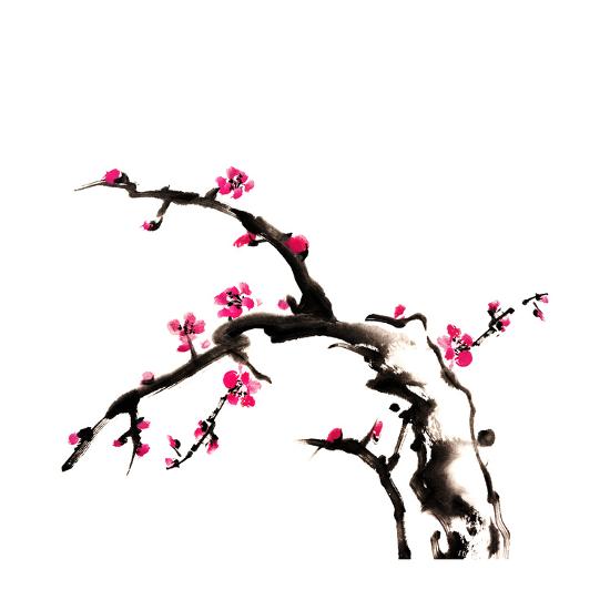 Chinese Painting Of Flowers Plum Blossom On White Background