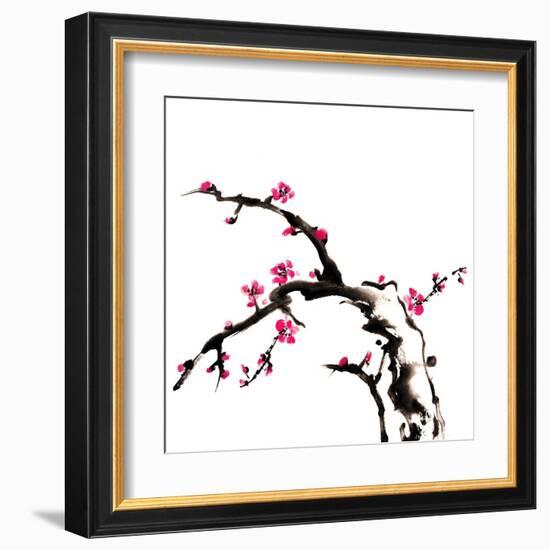 Chinese Painting Of Flowers, Plum Blossom, On White Background-elwynn-Framed Art Print