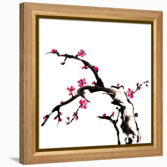 Chinese Painting Of Flowers, Plum Blossom, On White Background-elwynn-Framed Stretched Canvas