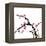 Chinese Painting Of Flowers, Plum Blossom, On White Background-elwynn-Framed Stretched Canvas