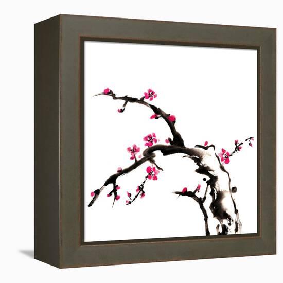 Chinese Painting Of Flowers, Plum Blossom, On White Background-elwynn-Framed Stretched Canvas