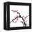 Chinese Painting Of Flowers, Plum Blossom, On White Background-elwynn-Framed Stretched Canvas