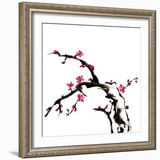 Chinese Painting Of Flowers, Plum Blossom, On White Background-elwynn-Framed Art Print