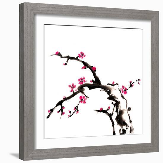 Chinese Painting Of Flowers, Plum Blossom, On White Background-elwynn-Framed Art Print