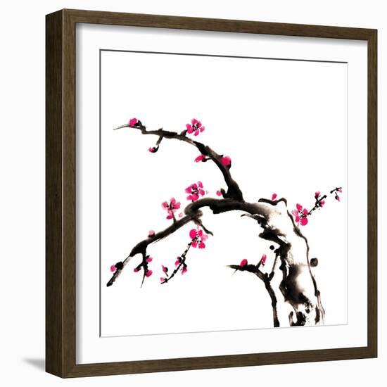 Chinese Painting Of Flowers, Plum Blossom, On White Background-elwynn-Framed Art Print