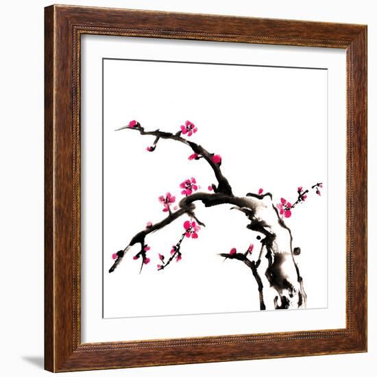 Chinese Painting Of Flowers, Plum Blossom, On White Background-elwynn-Framed Art Print