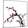 Chinese Painting Of Flowers, Plum Blossom, On White Background-elwynn-Mounted Art Print