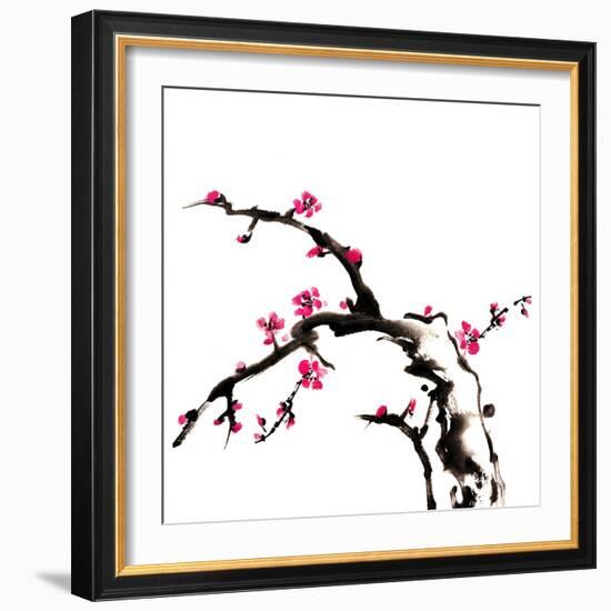 Chinese Painting Of Flowers, Plum Blossom, On White Background-elwynn-Framed Art Print