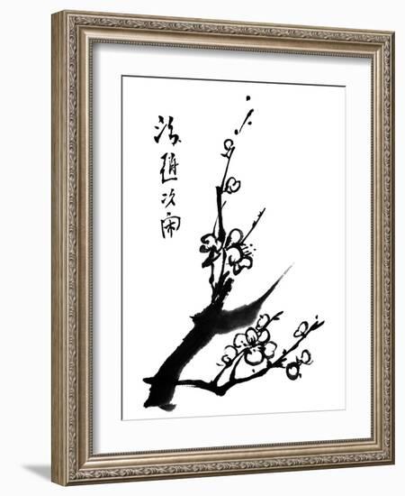 Chinese Painting Of Flowers, Plum Blossom, On White Background-elwynn-Framed Art Print