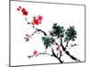 Chinese Painting Of Flowers, Plum Blossom, On White Background-elwynn-Mounted Art Print