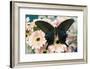 Chinese peacock black swallowtail, Papilio bianor on Gerber Daisies-Darrell Gulin-Framed Photographic Print