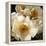 Chinese Peonies Trio-Elizabeth Horning-Framed Premier Image Canvas