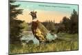 Premium Giclee Print