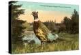 Stretched Canvas Print