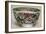 'Chinese Porcelain Bowl. Famille Verte. Period of K'Ang Hsi, 1662-1722', (1928)-Unknown-Framed Giclee Print