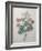 Chinese Primrose-Pierre-Joseph Redoute-Framed Art Print