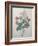 Chinese Primrose-Pierre-Joseph Redoute-Framed Art Print