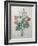 Chinese Primrose-Pierre-Joseph Redoute-Framed Art Print