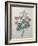 Chinese Primrose-Pierre-Joseph Redoute-Framed Art Print