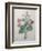 Chinese Primrose-Pierre-Joseph Redoute-Framed Art Print