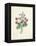 Chinese Primrose-Pierre-Joseph Redouté-Framed Premier Image Canvas