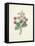 Chinese Primrose-Pierre-Joseph Redouté-Framed Premier Image Canvas