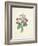 Chinese Primrose-Pierre-Joseph Redouté-Framed Giclee Print