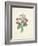 Chinese Primrose-Pierre-Joseph Redouté-Framed Giclee Print