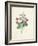 Chinese Primrose-Pierre-Joseph Redouté-Framed Giclee Print