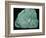 Chinese Quing Dynasty turquoise carving of a mountain, 18th century Artist: Unknown-Unknown-Framed Photographic Print