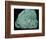 Chinese Quing Dynasty turquoise carving of a mountain, 18th century Artist: Unknown-Unknown-Framed Photographic Print