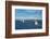 Chinese squid trawler in Stanley, capital of the Falkland Islands, South America-Michael Runkel-Framed Photographic Print