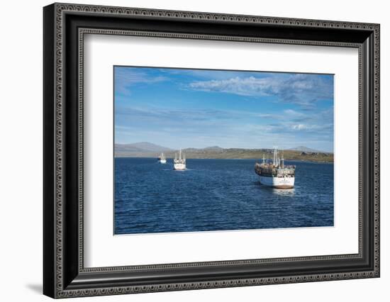 Chinese squid trawler in Stanley, capital of the Falkland Islands, South America-Michael Runkel-Framed Photographic Print