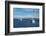 Chinese squid trawler in Stanley, capital of the Falkland Islands, South America-Michael Runkel-Framed Photographic Print