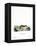 Chinese Striped Hamster-null-Framed Premier Image Canvas