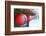 Chinese Temple, Jiufen, Taiwan, Asia-Christian Kober-Framed Photographic Print