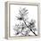 Chinese Traditional Ink Painting, Bamboo On White Background-elwynn-Framed Stretched Canvas