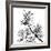 Chinese Traditional Ink Painting, Bamboo On White Background-elwynn-Framed Art Print