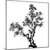 Chinese Traditional Ink Painting, Pine Tree On White Background-elwynn-Mounted Art Print