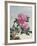 Chinese Watercolor of Pink Peonies-null-Framed Giclee Print