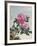 Chinese Watercolor of Pink Peonies-null-Framed Giclee Print