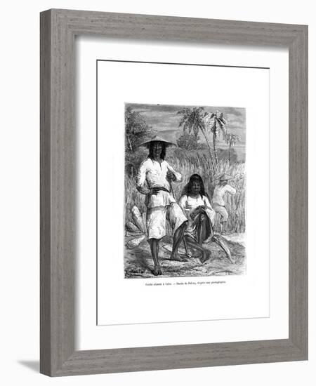 Chinese Workers, Cuba, 19th Century-Pelcoq-Framed Giclee Print