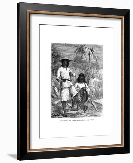 Chinese Workers, Cuba, 19th Century-Pelcoq-Framed Giclee Print