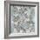 Chinoiserie in Silver II-Reneé Campbell-Framed Art Print