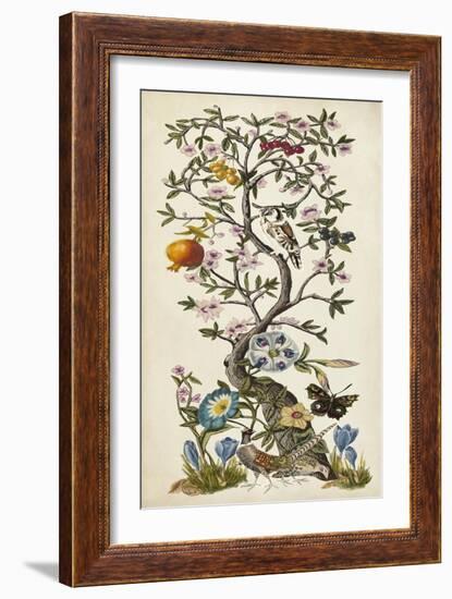 Chinoiserie Natura I-Naomi McCavitt-Framed Art Print