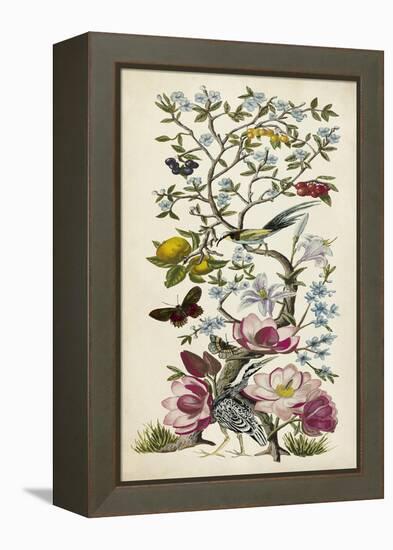 Chinoiserie Natura II-Naomi McCavitt-Framed Stretched Canvas