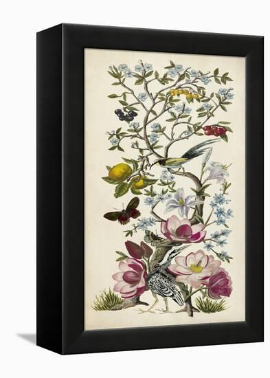 Chinoiserie Natura II-Naomi McCavitt-Framed Stretched Canvas